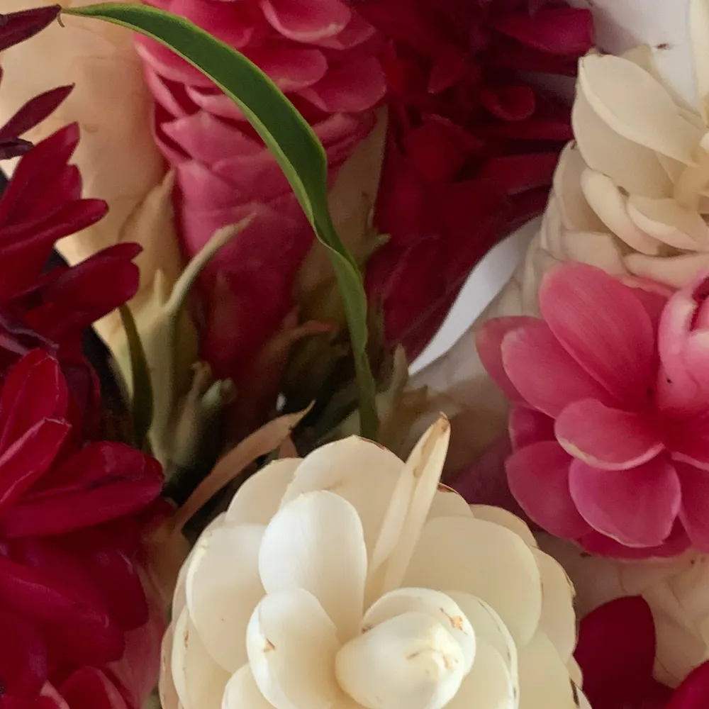 ange28.bsky.social's profile picture