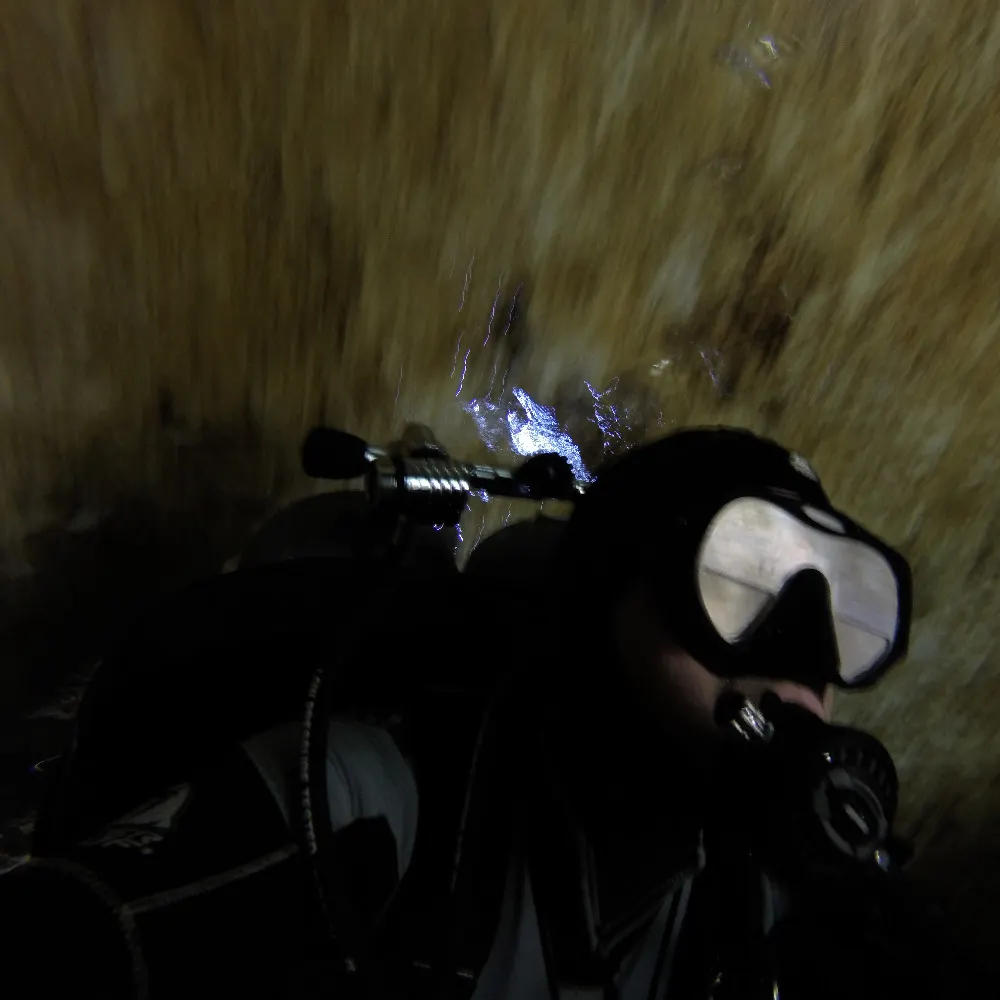 divebender.bsky.social's profile picture