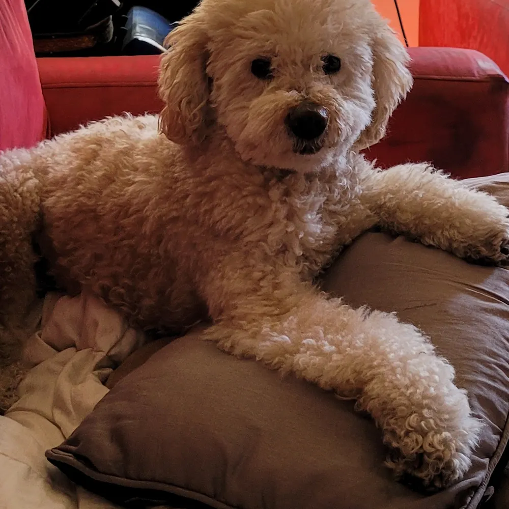 ksrnow.bsky.social's profile picture