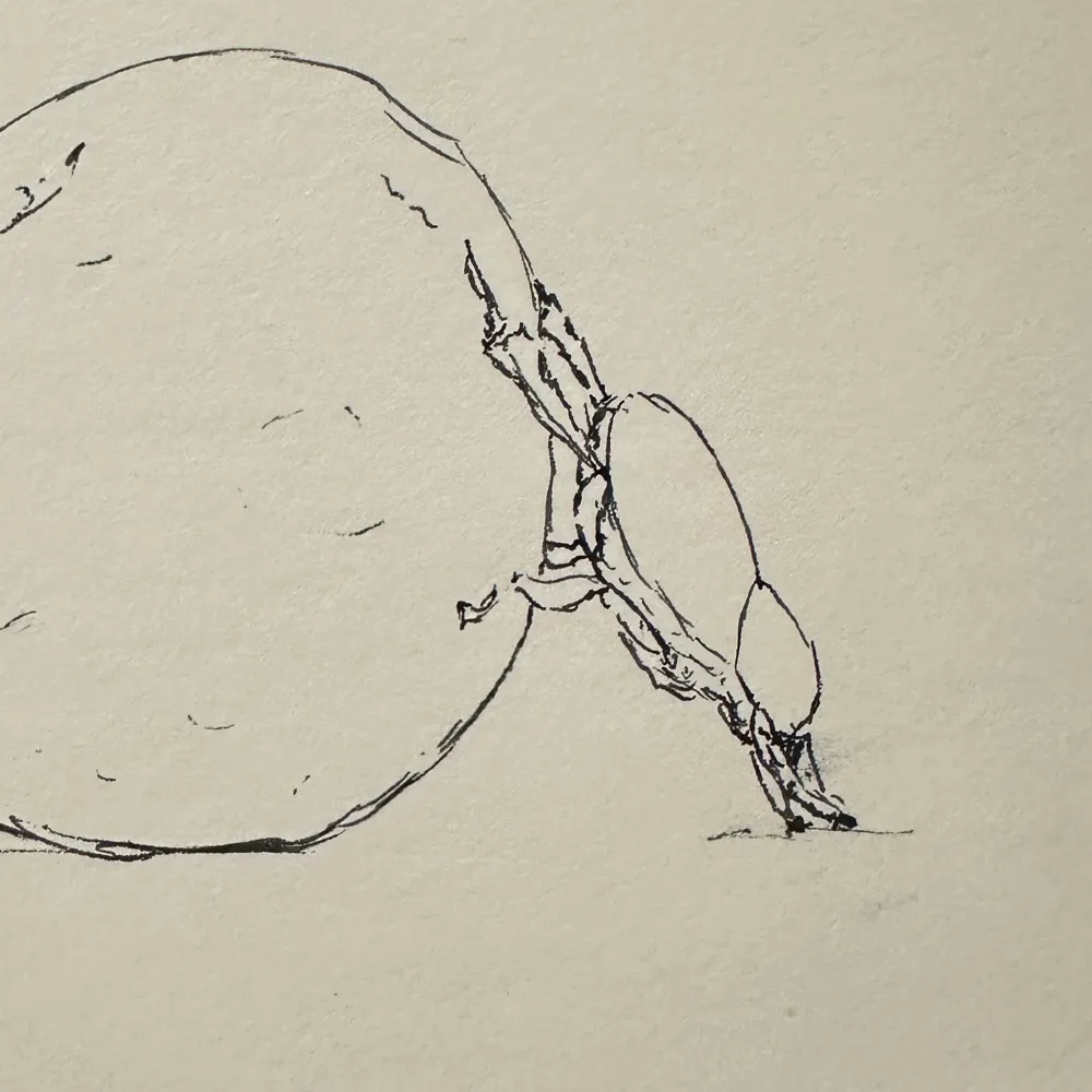 moosehorns.bsky.social's profile picture