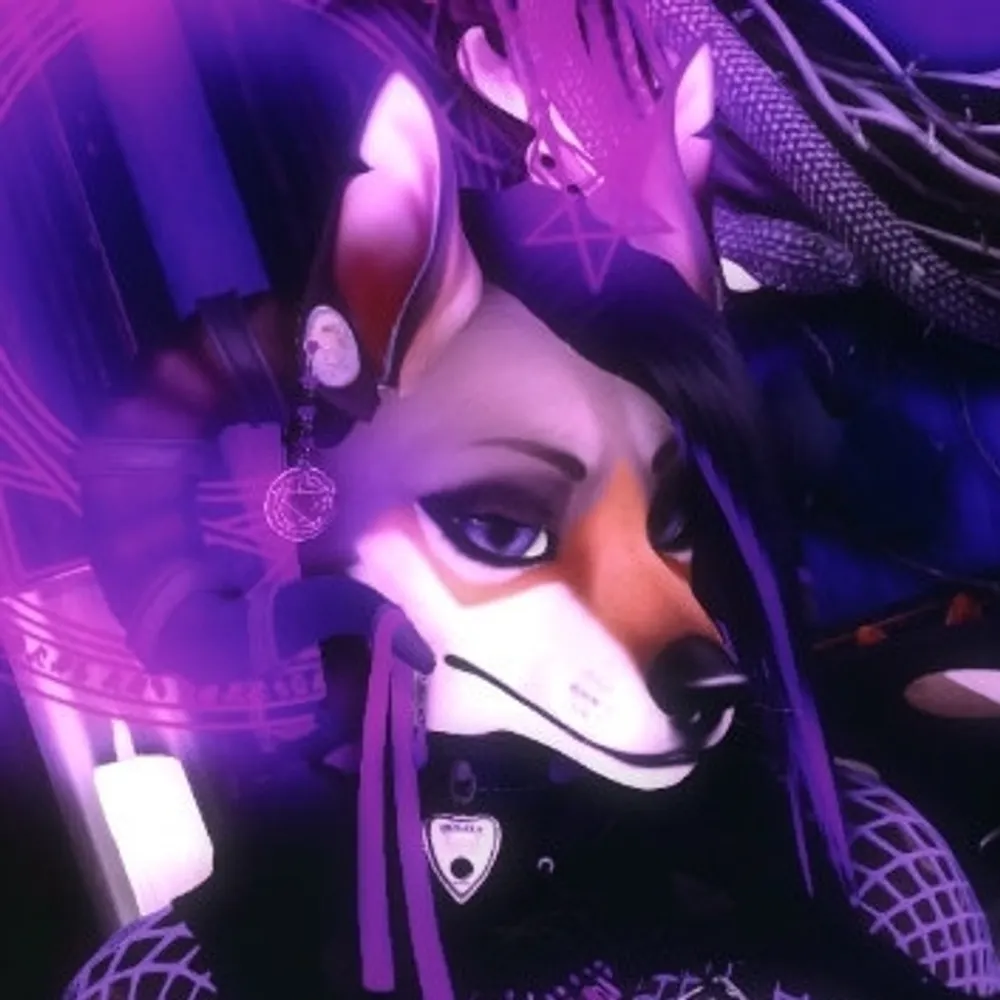 voiddog.bsky.social's profile picture