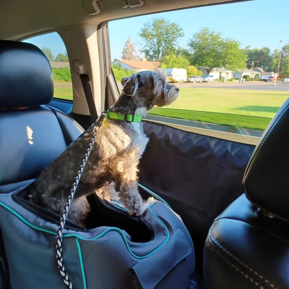 idahogal1006.bsky.social's profile picture