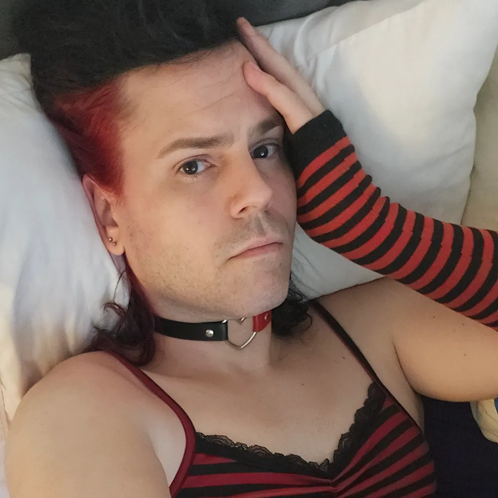 zoewithnoy.bsky.social's profile picture