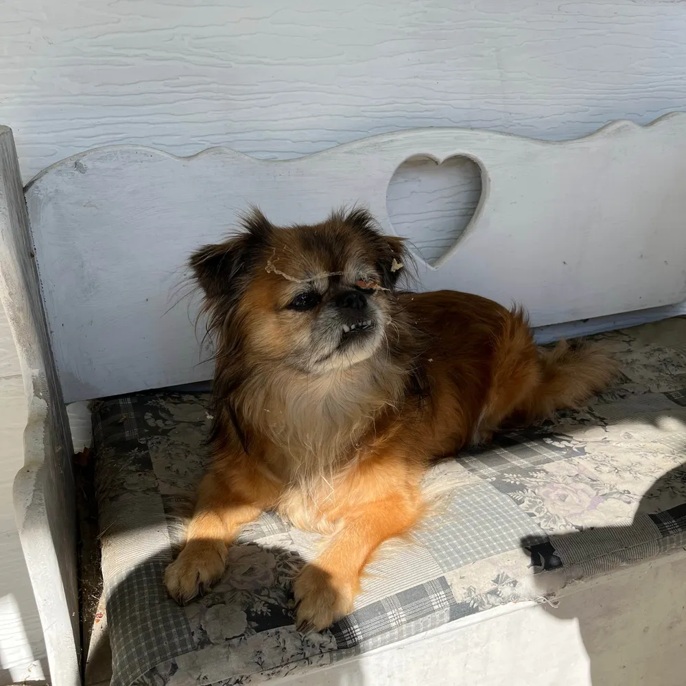 mnorton62.bsky.social's profile picture