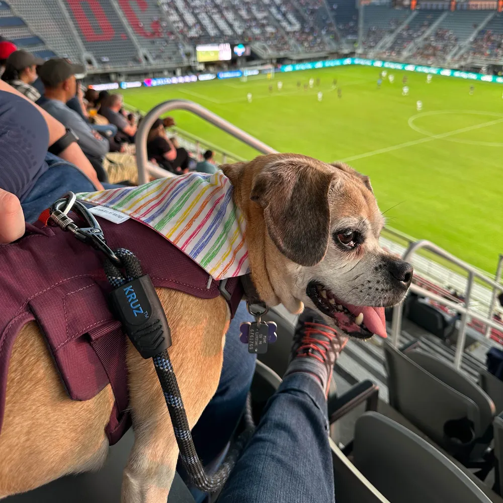 marbenais.bsky.social's profile picture