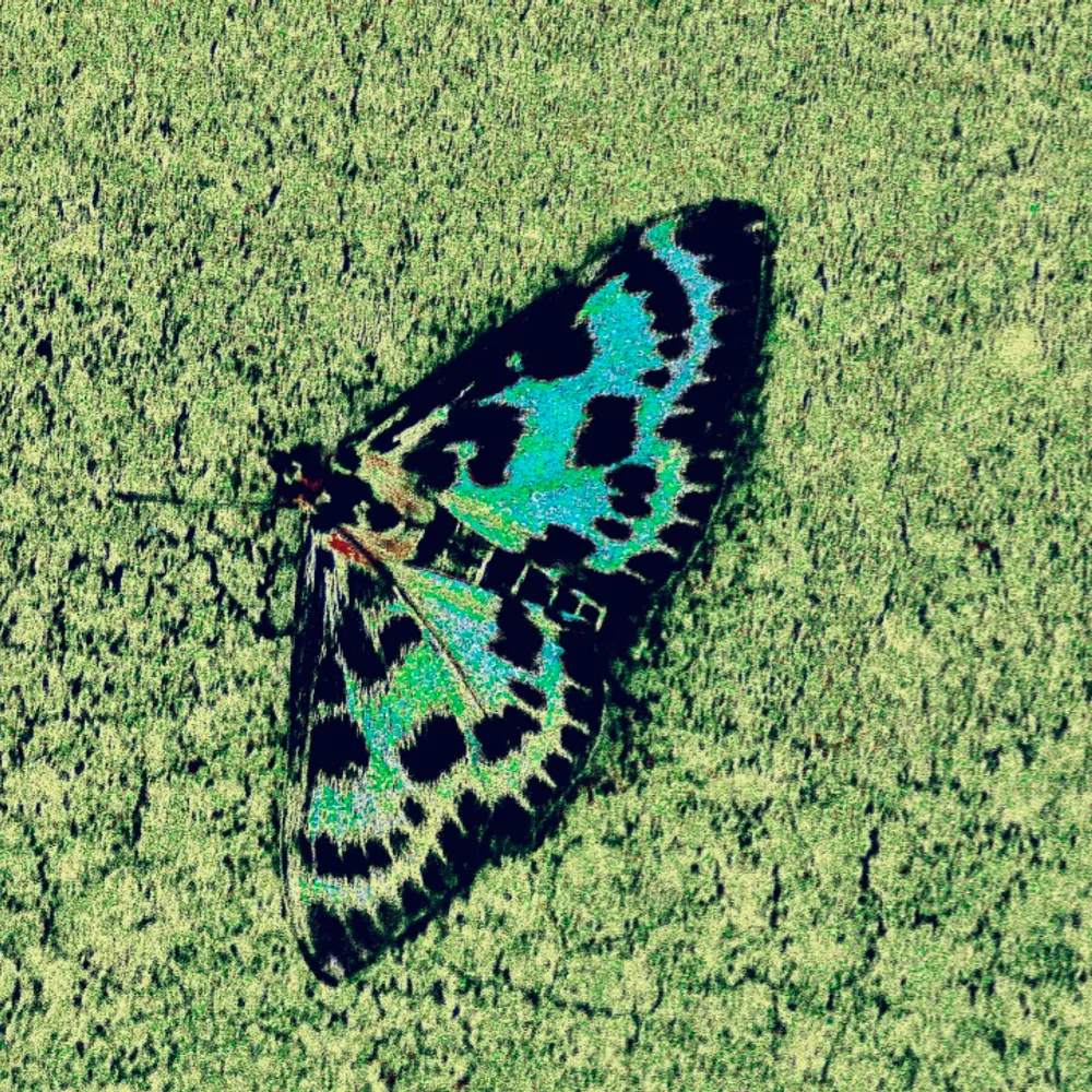 progsrock.bsky.social's profile picture