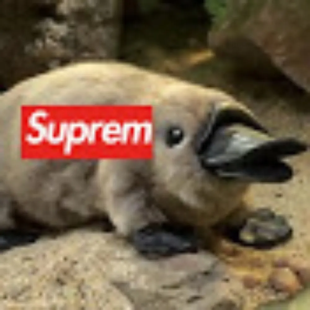 thegreatbarbossa.bsky.social's profile picture