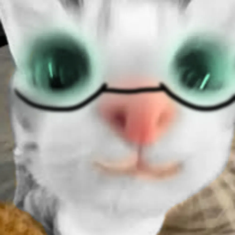 storroastra.bsky.social's profile picture