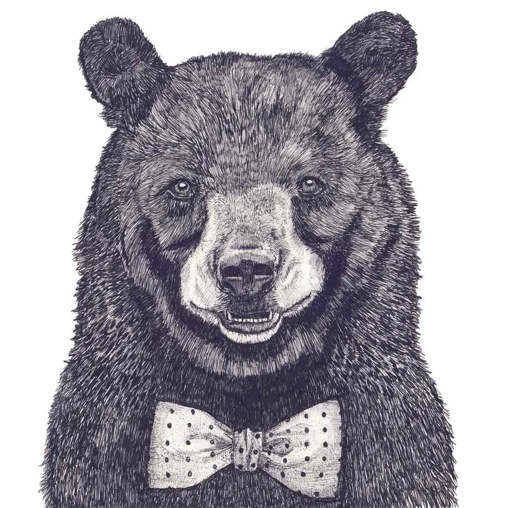 bultitude.bsky.social's profile picture