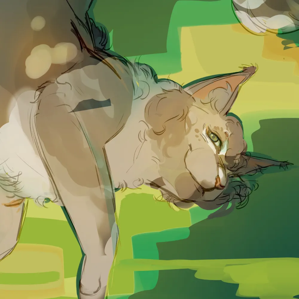 ktoshks.bsky.social's profile picture