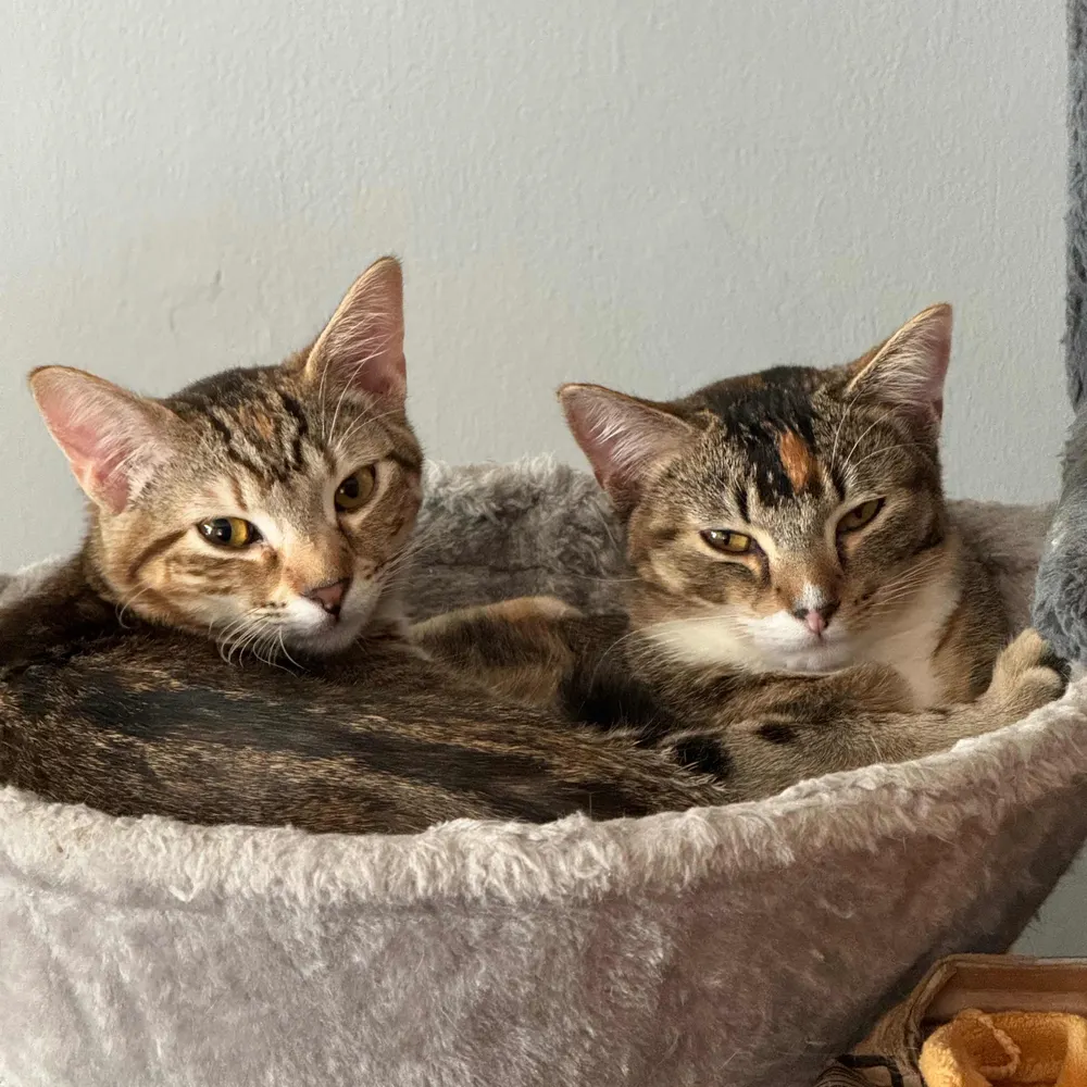 marythcat27.bsky.social's profile picture