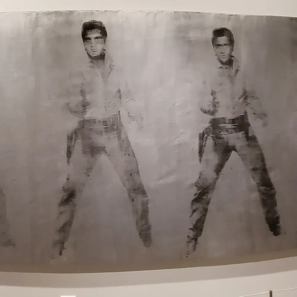 toomanydaves.bsky.social's profile picture