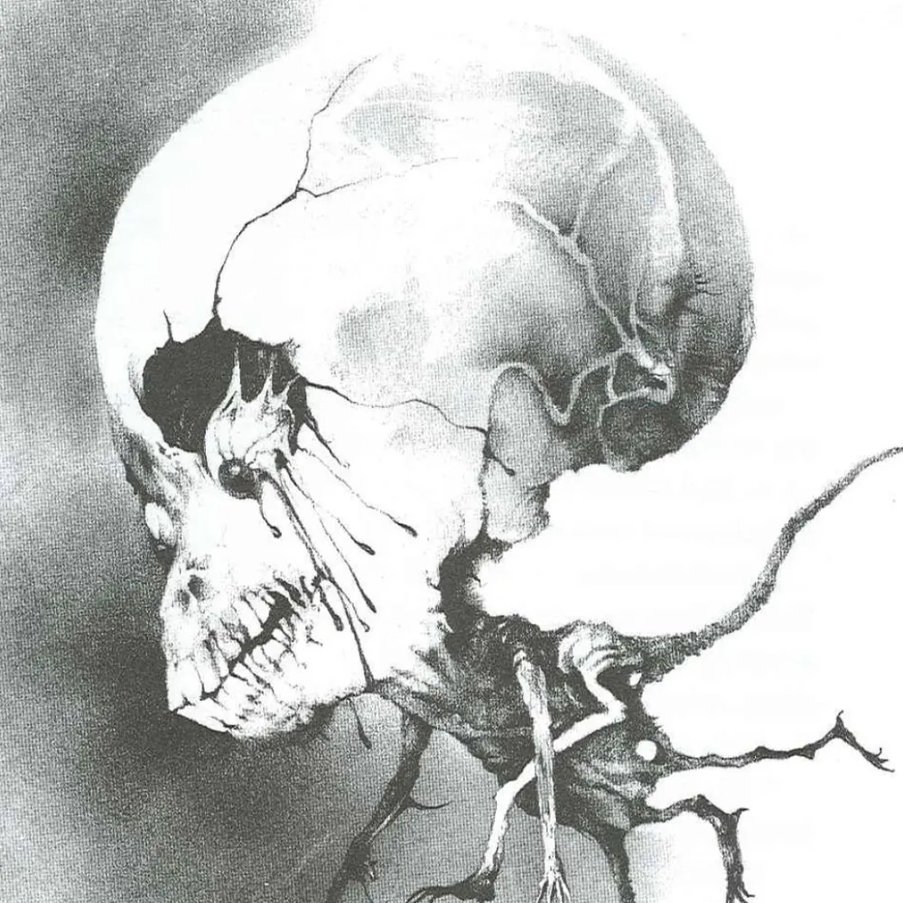 jimtheadequate.bsky.social's profile picture