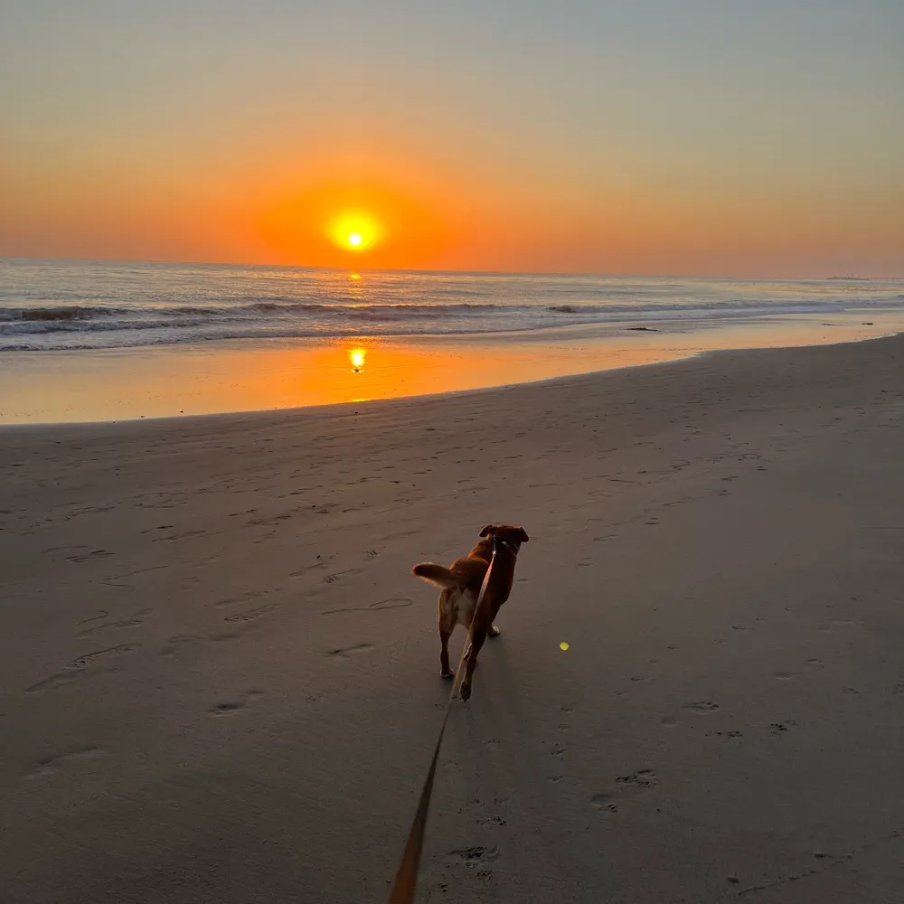 1fiercemalmy.bsky.social's profile picture