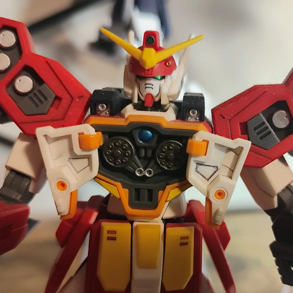 dorian-on-deck.bsky.social's profile picture