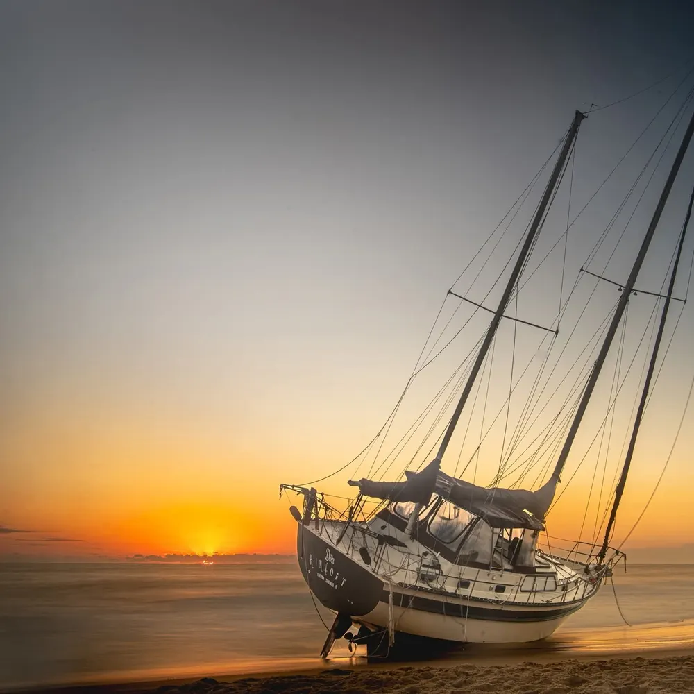 zsuzsa06.bsky.social's profile picture