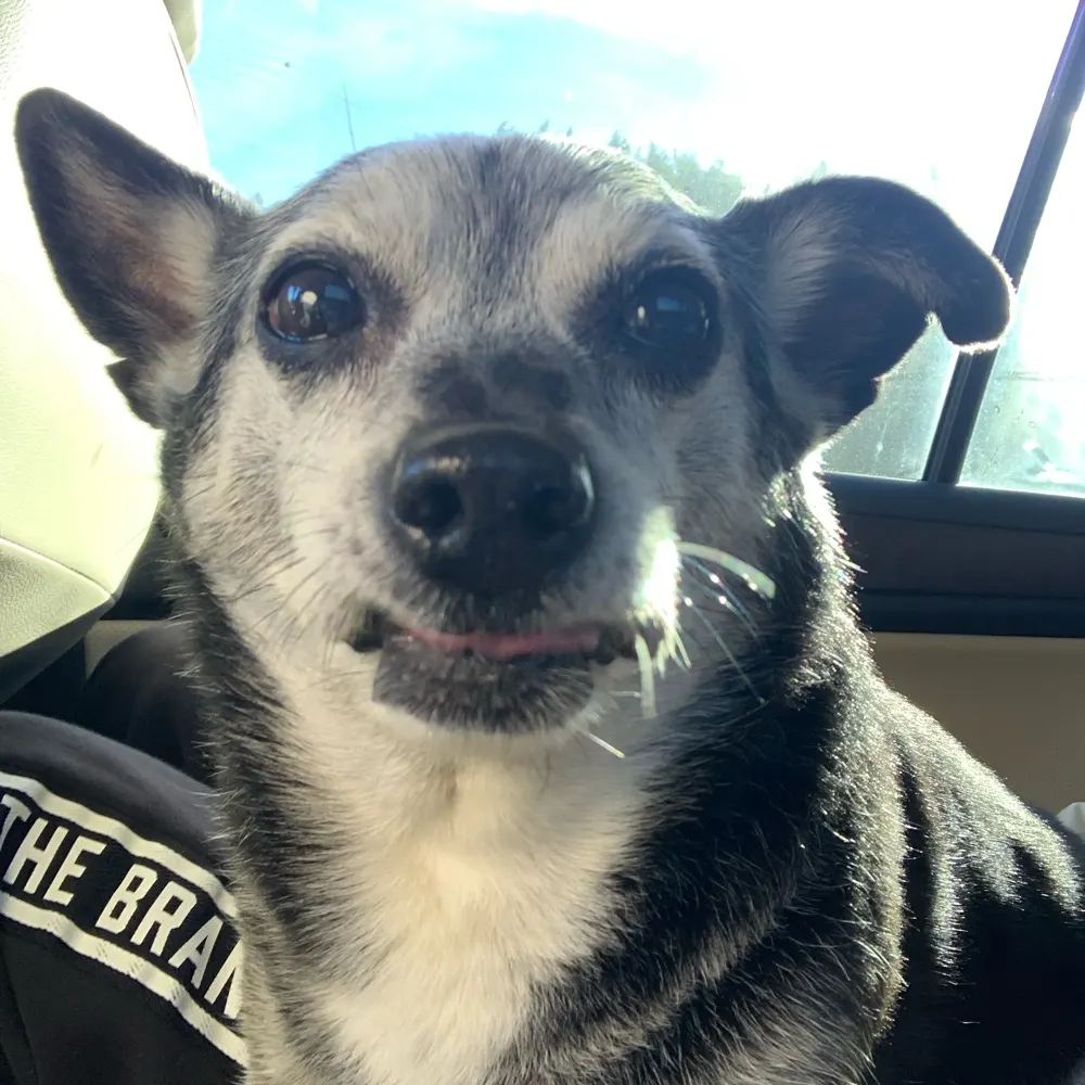 jenny58oh.bsky.social's profile picture