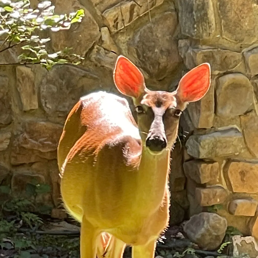 jrlgdnr.bsky.social's profile picture