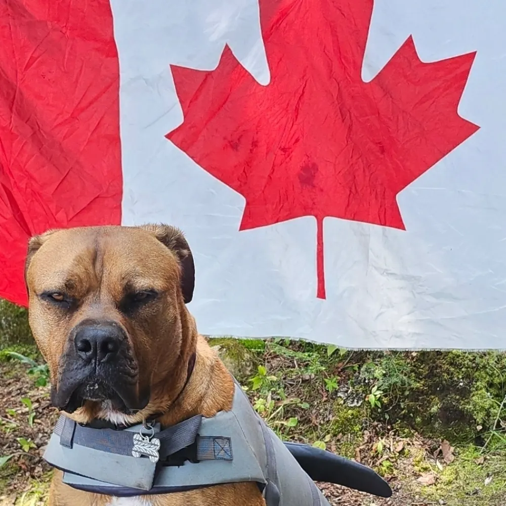 zargon2112.bsky.social's profile picture