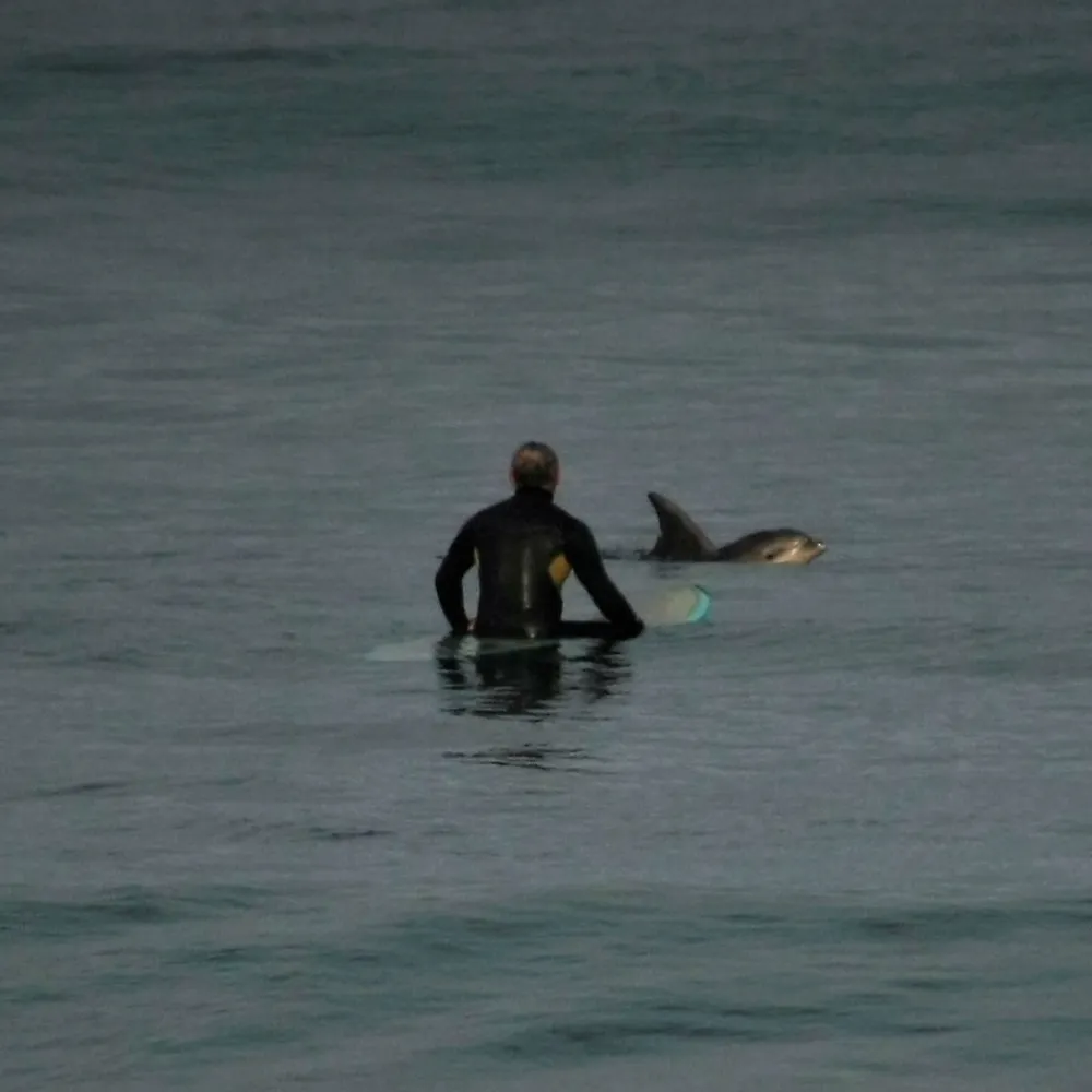 highlandsurfer.bsky.social's profile picture