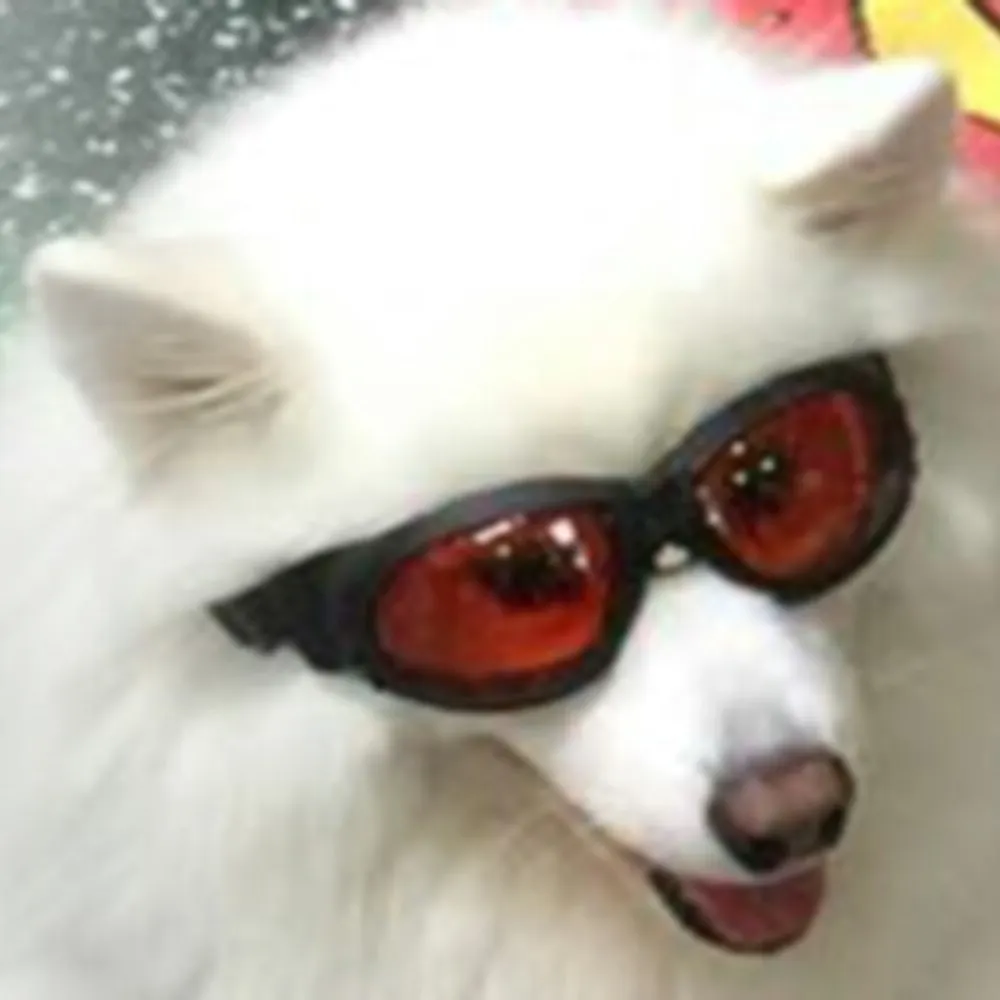 mosesconspiracy.bsky.social's profile picture