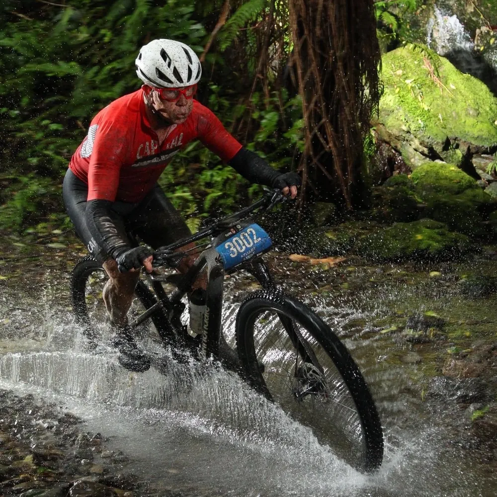 stueethedog.bsky.social's profile picture