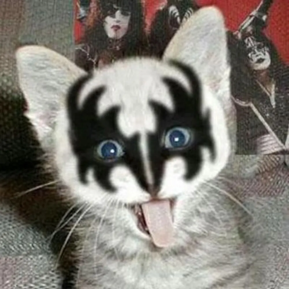 plamppk.bsky.social's profile picture