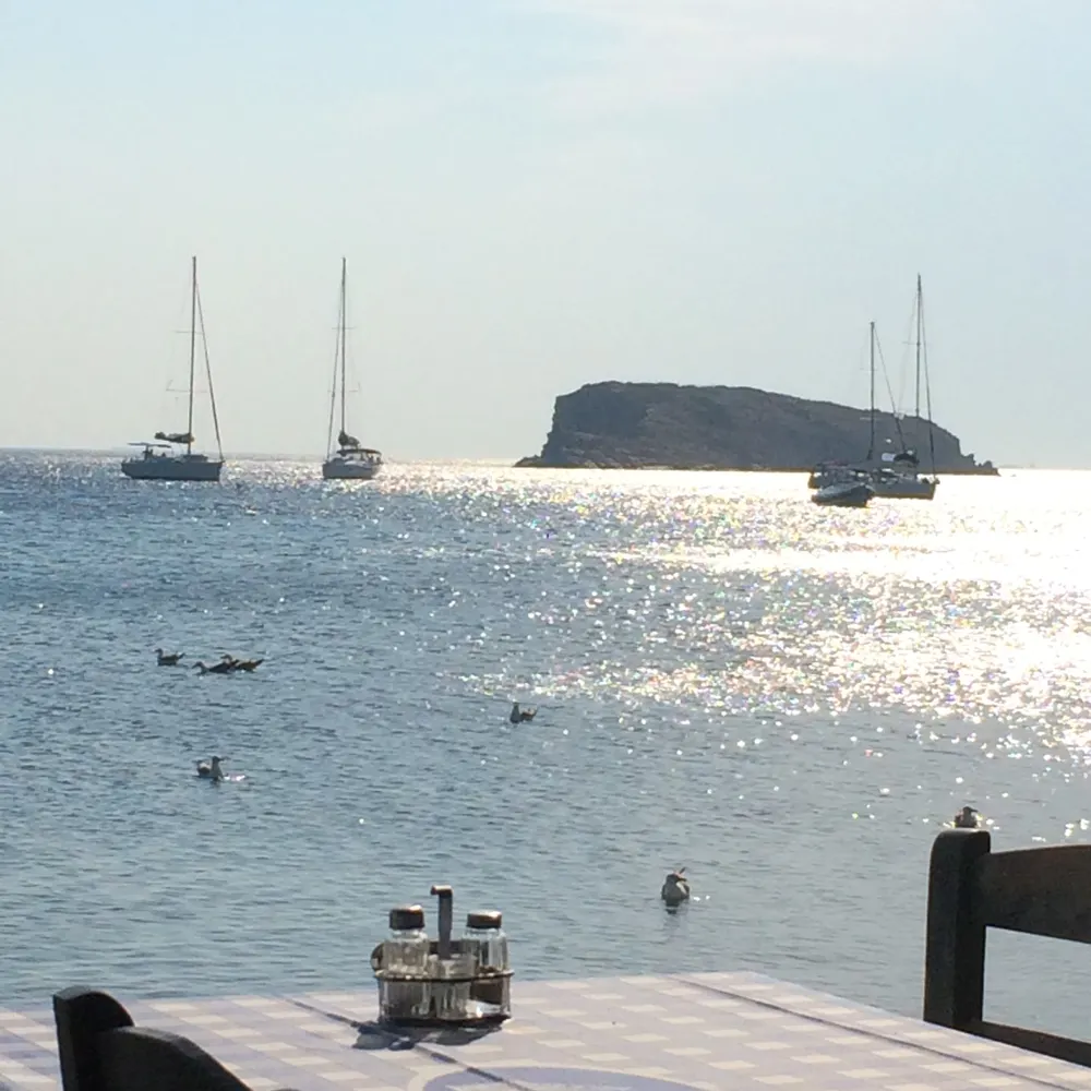 sal-robertson.bsky.social's profile picture