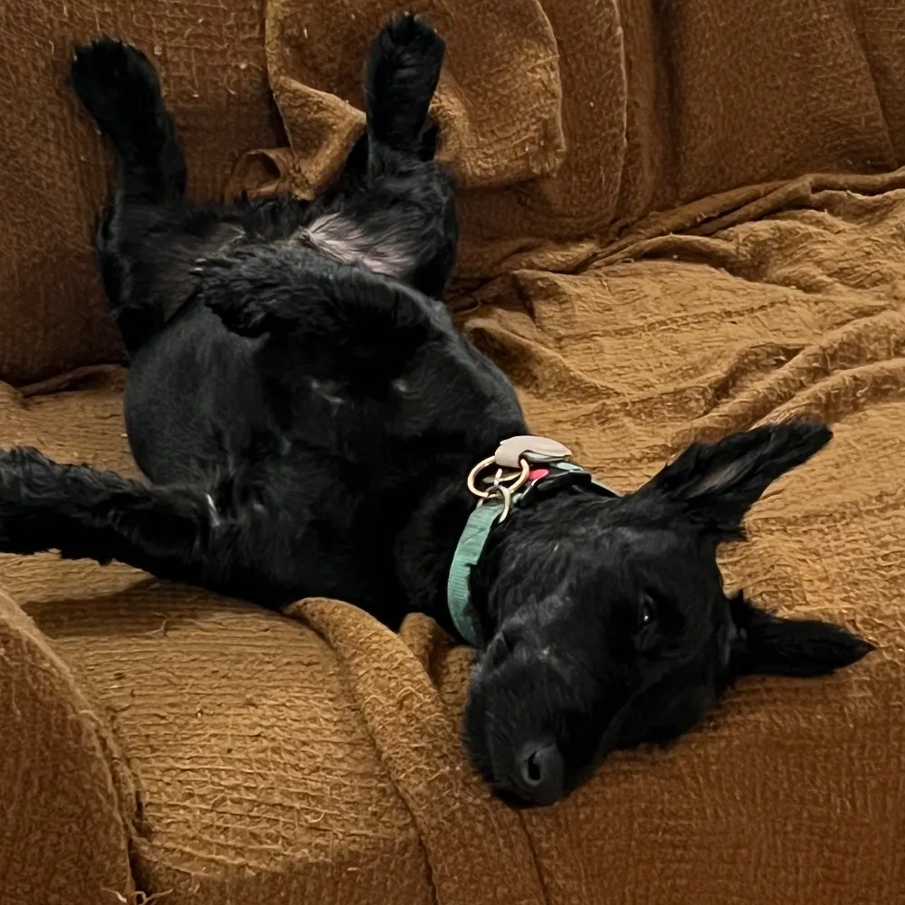 modrup.bsky.social's profile picture