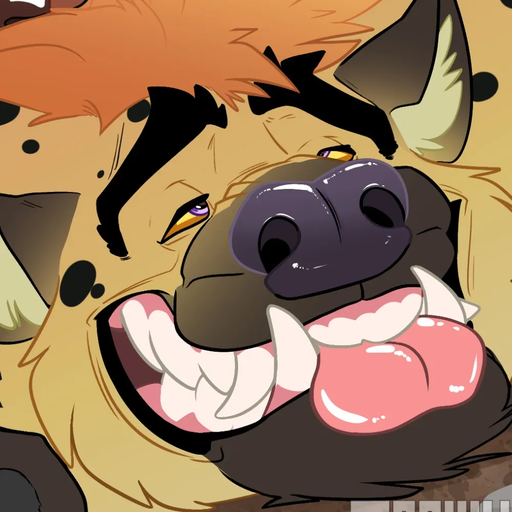 drakirion.bsky.social's profile picture