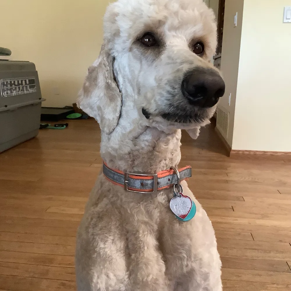 jellybean24.bsky.social's profile picture