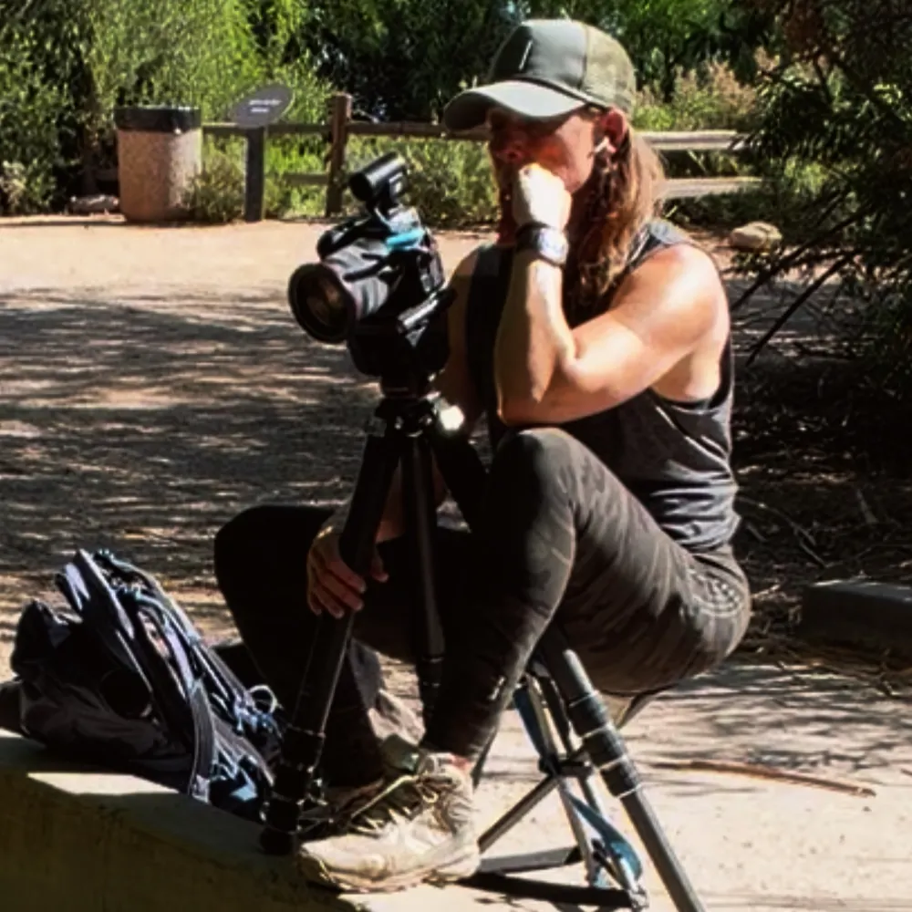 lizzyesau.bsky.social's profile picture