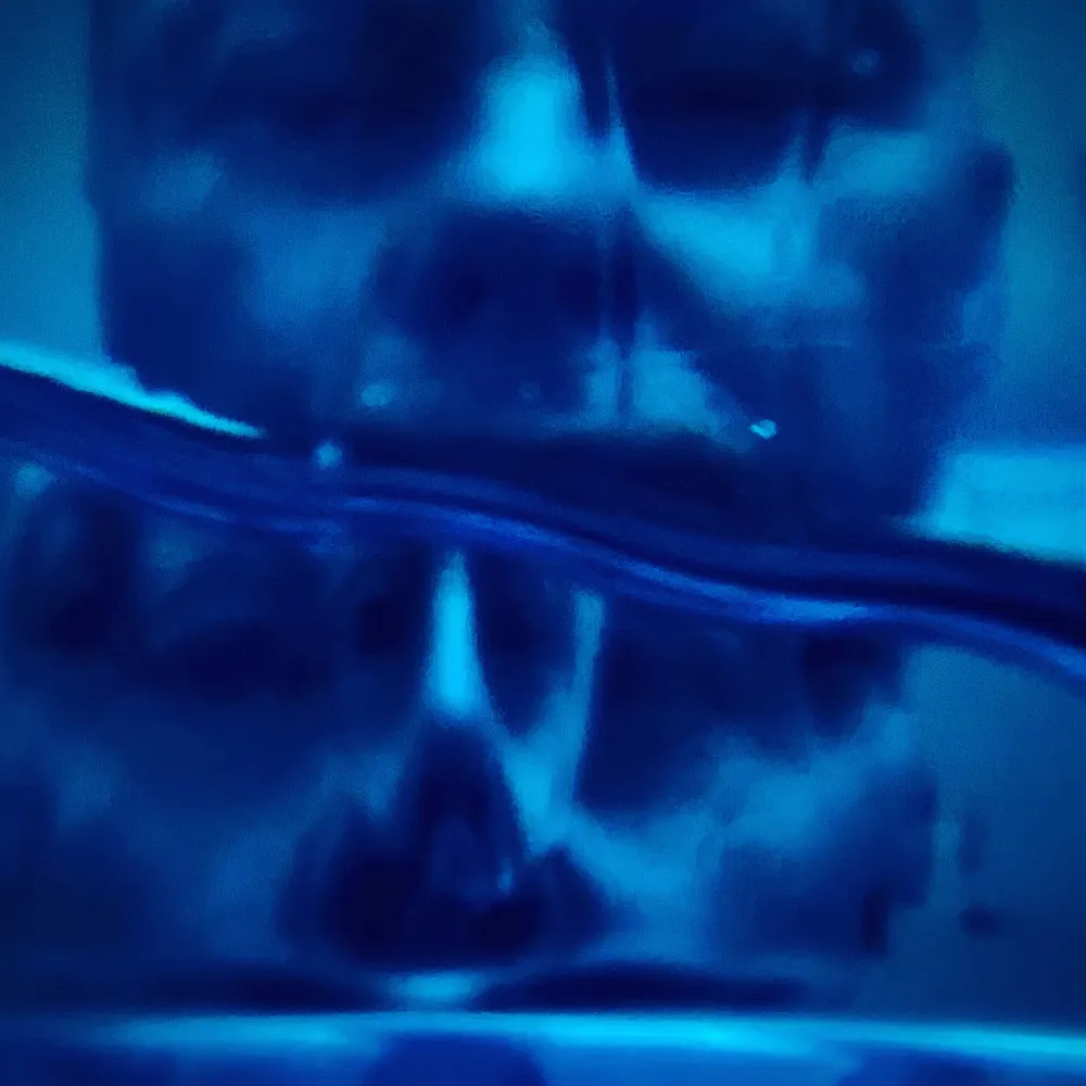 gocatgo.bsky.social's profile picture