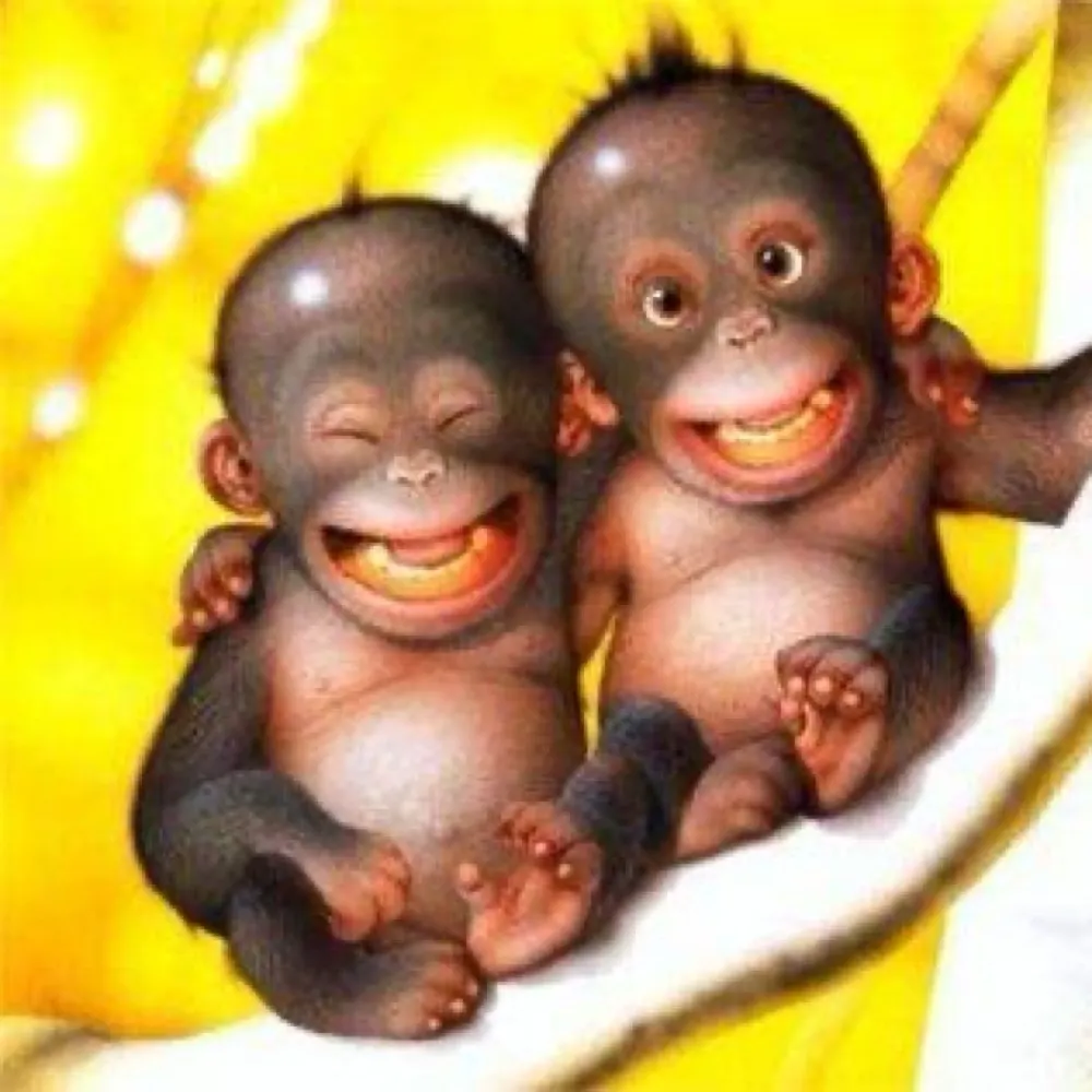 ravinggoat.bsky.social's profile picture