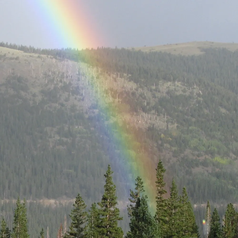 terribletommy.bsky.social's profile picture