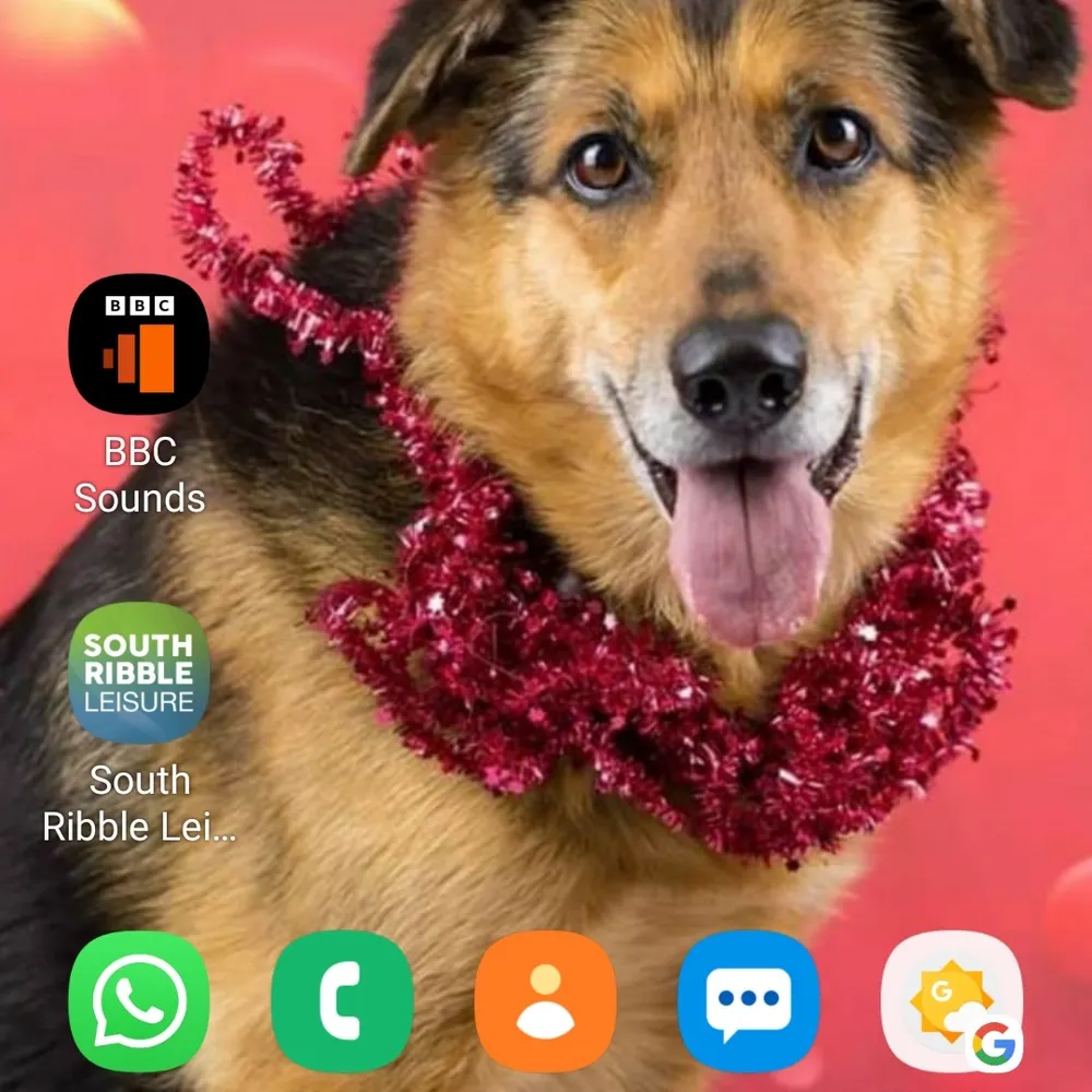 gemandmoll.bsky.social's profile picture