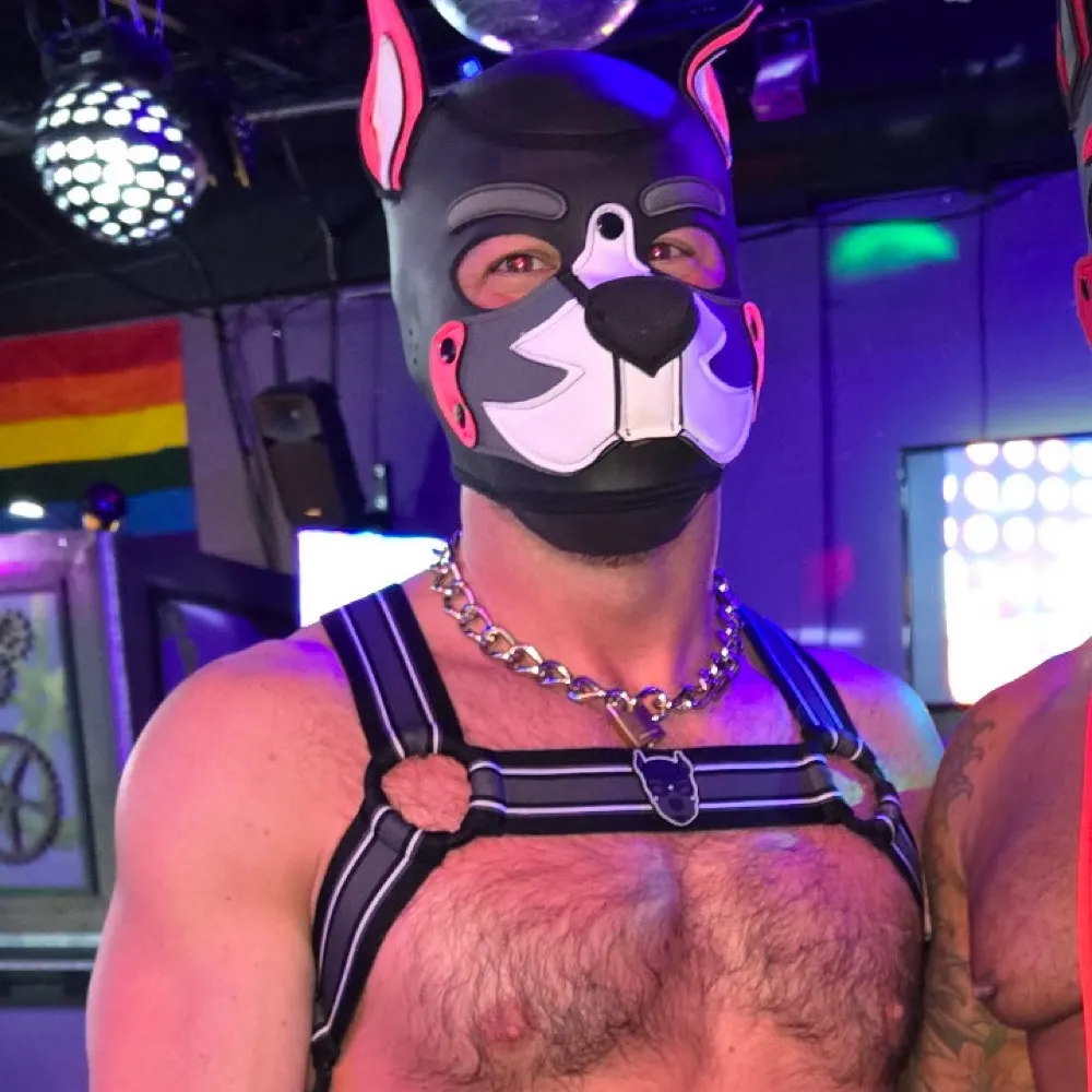 pupgrym.bsky.social's profile picture