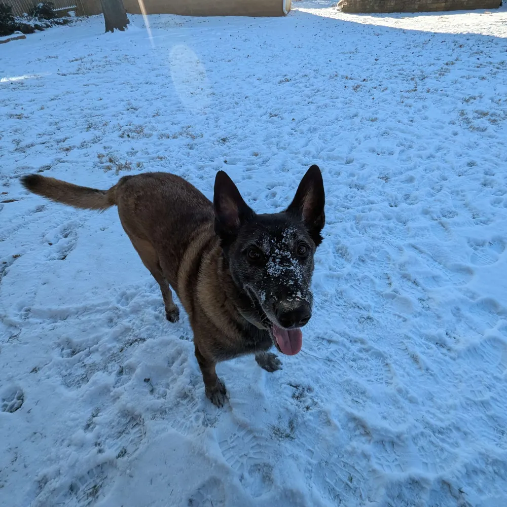 billjacoby1.bsky.social's profile picture