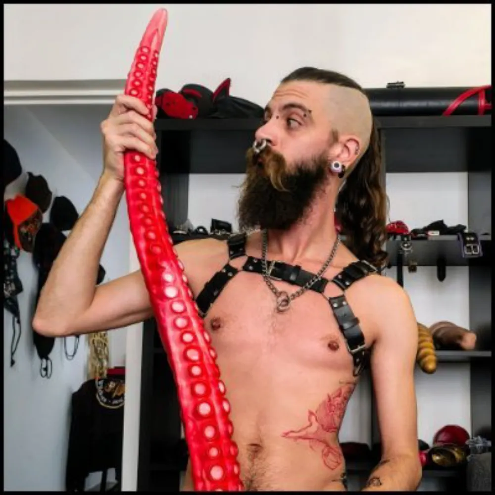 punkdogx.bsky.social's profile picture