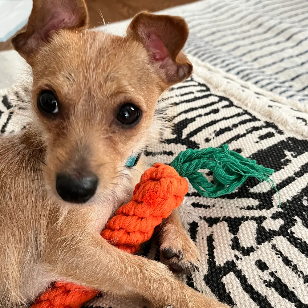 dmtrinity.bsky.social's profile picture