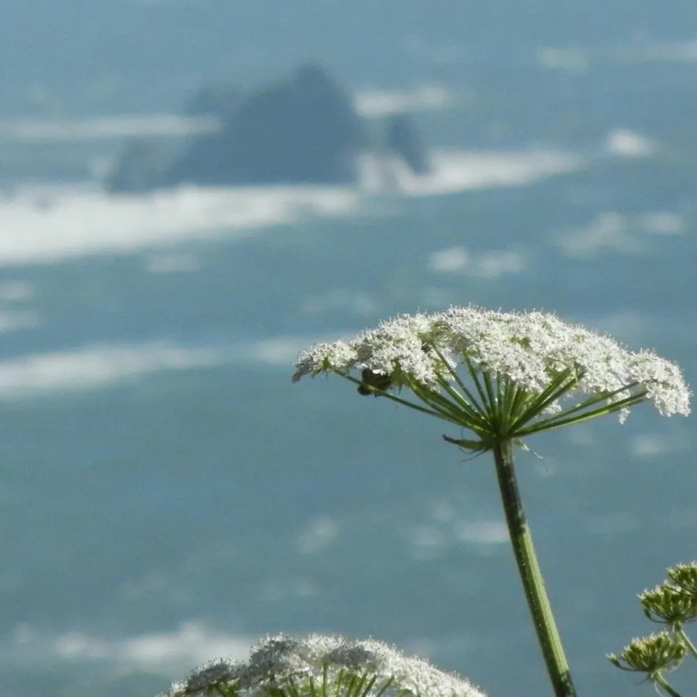 kylieq.bsky.social's profile picture