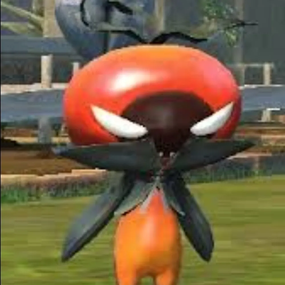 valemato.bsky.social's profile picture