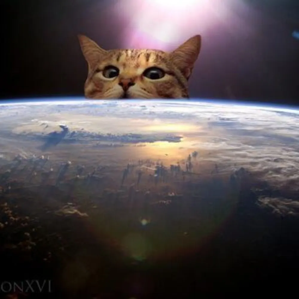 bygonebegotrisk.bsky.social's profile picture