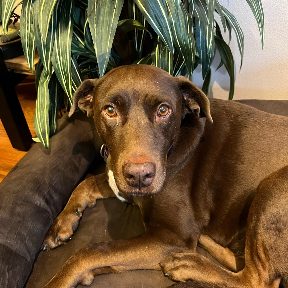 blasingsun.bsky.social's profile picture