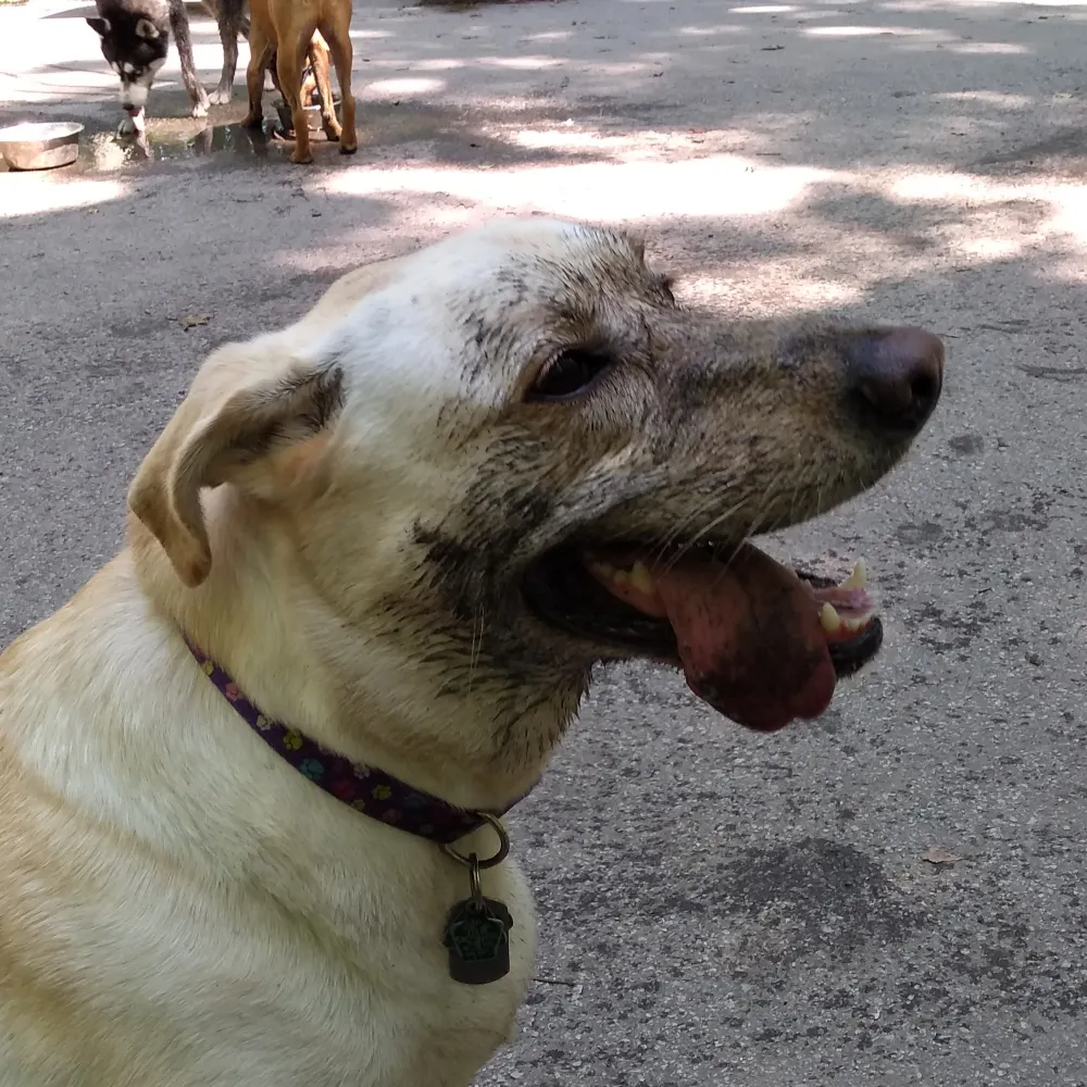 monetpainter.bsky.social's profile picture