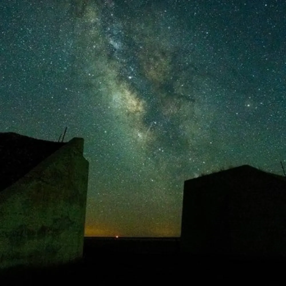 rich-king.bsky.social's profile picture