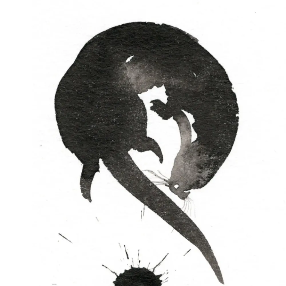 otterkit.bsky.social's profile picture