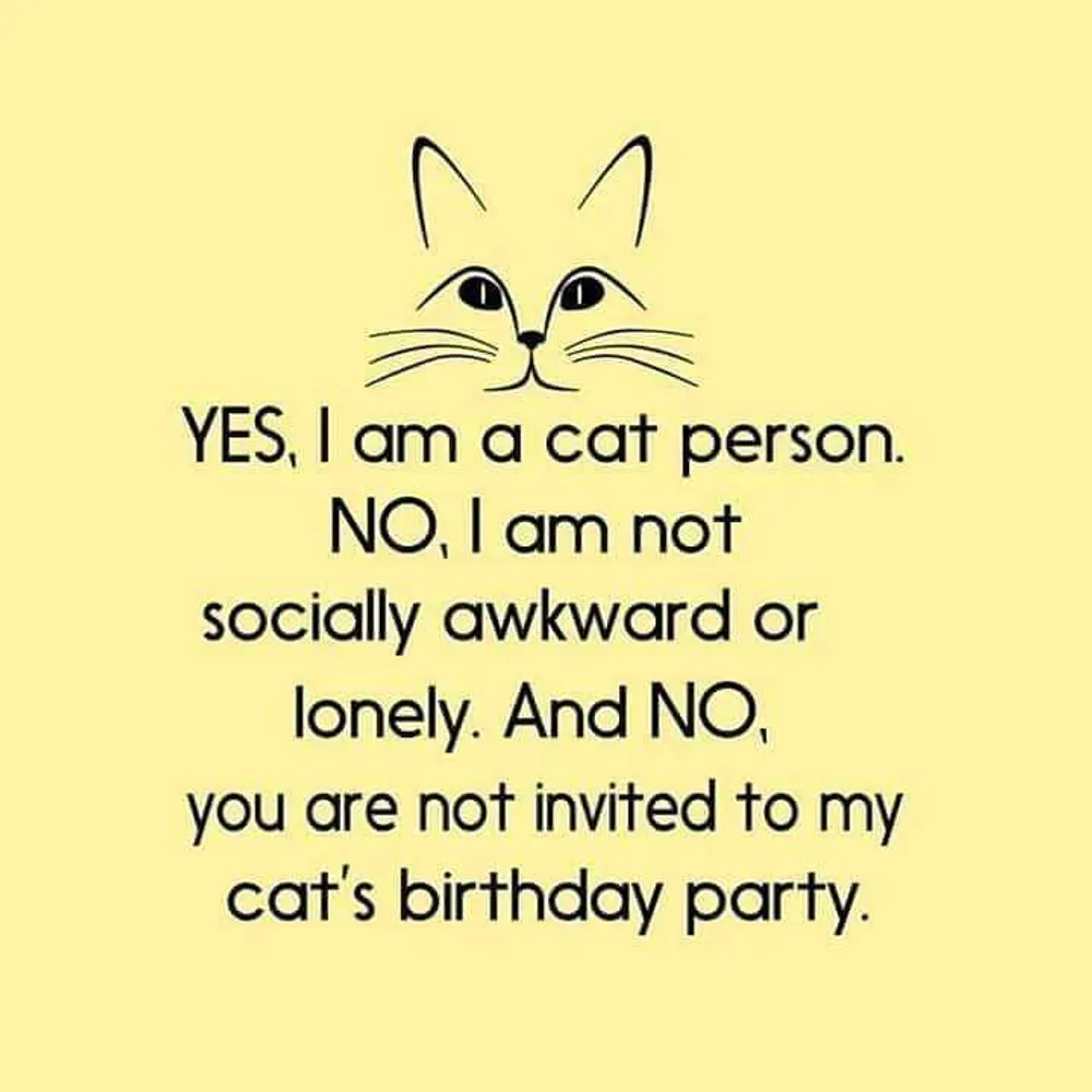 ladypup.bsky.social's profile picture