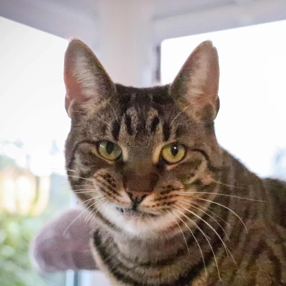 rankamateur.bsky.social's profile picture