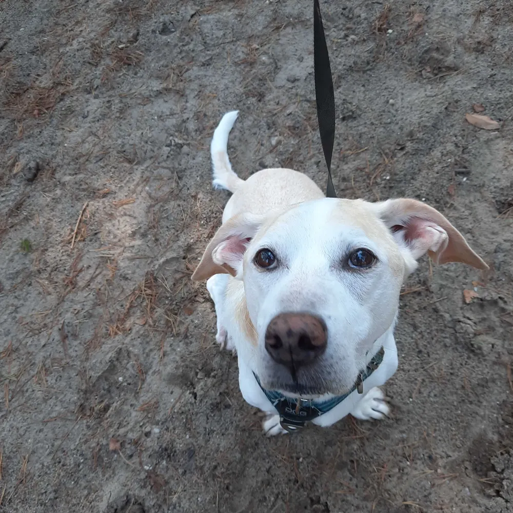 flamboyantbarb.bsky.social's profile picture